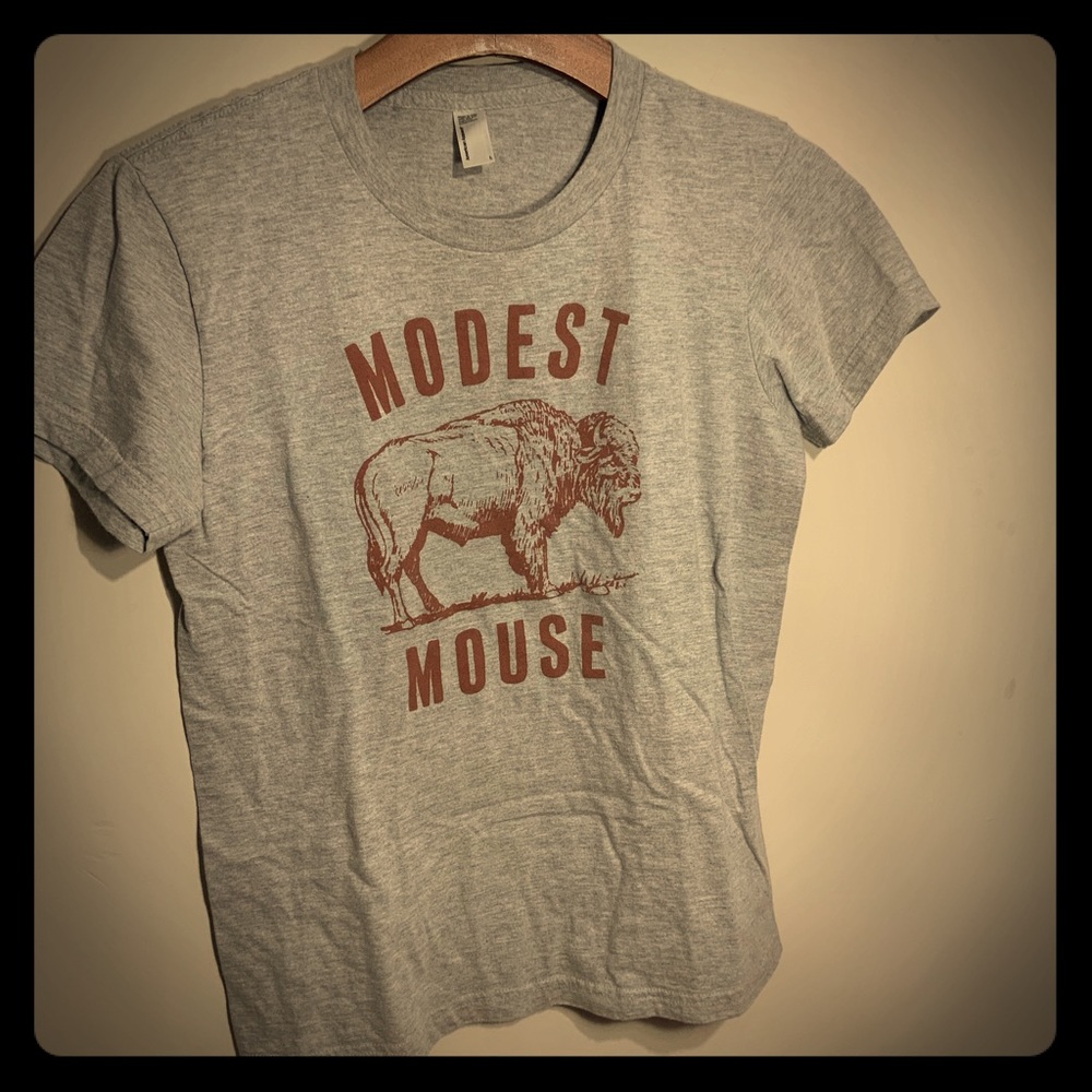 American Apparel Modest Mouse Large Tee